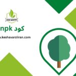 کود npk - کشاورزی ایران