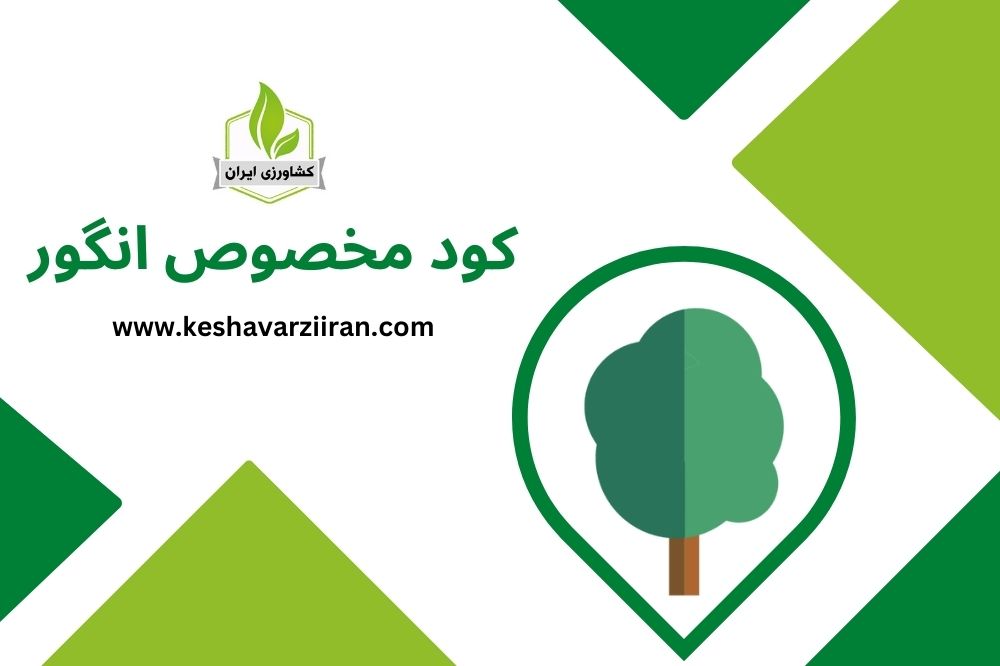 کود مخصوص انگور - کشاورزی ایران