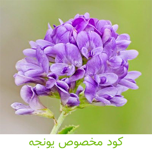 کود مخصوص یونجه-کشاورزی ایران
