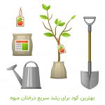 بهترین کود برای رشد سریع درختان میوه_ کشاورزی ایران