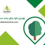 بهترین کود برای رشد سریع درختان - کشاورزی ایران