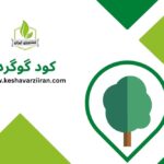 کود گوگرد - کشاورزی ایران