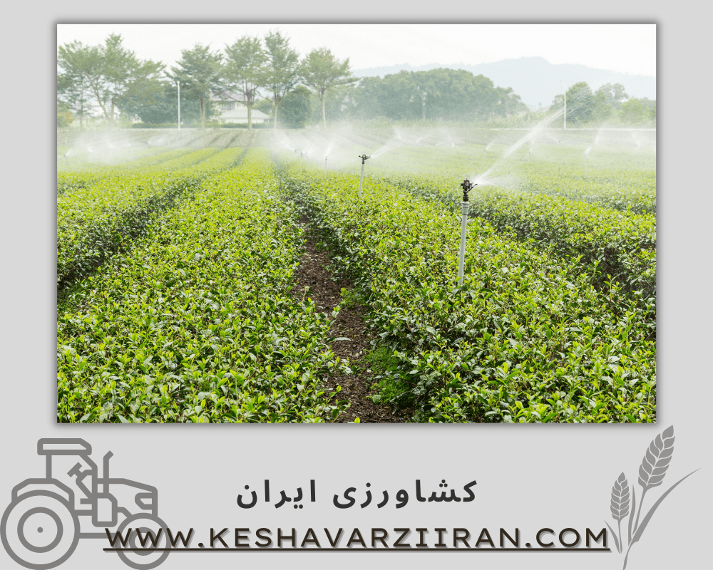 لوازم کشاورزی و باغبانی - کشاورزی ایران