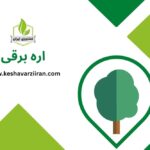 اره برقی - کشاورزی ایران