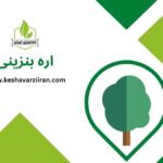 اره بنزینی - کشاورزی ایران