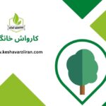 کارواش خانگی - قیمت کارواش خانگی - کشاورزی ایران