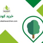 خرید کود - کشاورزی ایران